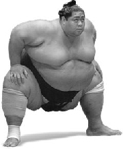 Picture of sumo wrestler Konishiki